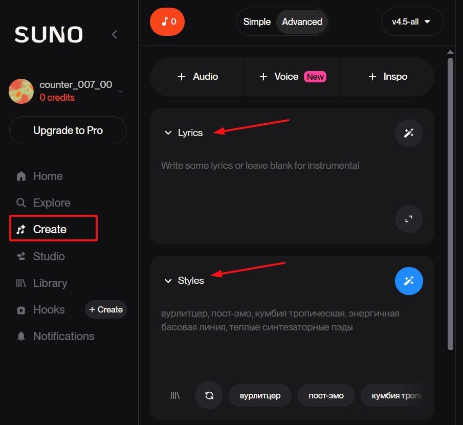 suno-поля ввода_result.jpg